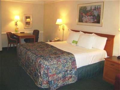 Super 8 By Wyndham Austin South I-35 Hotel Eksteriør billede